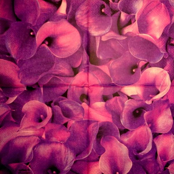 035 Calla - 3-lagig